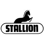 Stallion