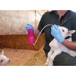 Rehydrateur agneau et chèvre Trusti Tuber