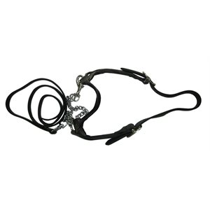 Show Halter - Black Leather - Small W / Lead